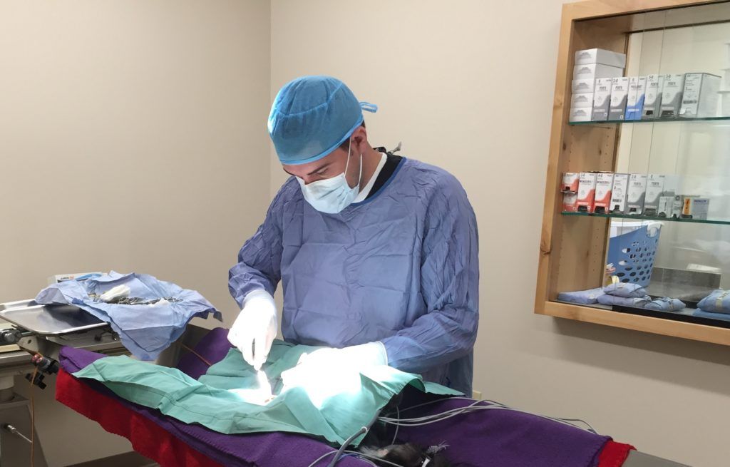 Dr. Bradberry in surgery
